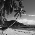 While the majority of radio operators wait patiently for that elusive DXCC and key up the mic only when a new entity has been announced on the band, a smaller group of...