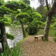 14DA049 Fred The Dx Adventure Radio Club is delighted to present our newest member from the French Republic…14DA049 Fred. Fred’s home QTH is a small commune named Maulévrier in the Maine-et-Loire (Department...