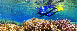 M'be Kouen Reef