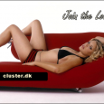 DA-RC Supports Cluster.dk Lounge Membership Since 7 April 2000, 11m online notification system cluster.dk has provided 11m DX enthusiasts with what most agree to be an exceptional hobby resource. This includes our very own Dx...