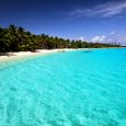 Attention tenacious DX Hunters!  For The DA-RC’s upcoming Indian Ocean DXpeditions to Christmas (217 Division) and Cocos (Keeling) Islands (193) respectively, the traditional RS and the ITL systems will be [&hellip;]