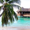 While Dx Adventure Radio Club (DA-RC) members are traditionally known for their wonderful exploits in the field of dxpedition work, results of the 2017 Islands Festival indicate we are just [&hellip;]